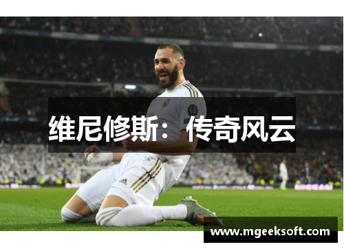 维尼修斯：传奇风云